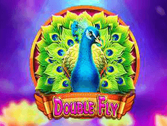 Double Fly screenshot